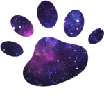 galaxycat the army