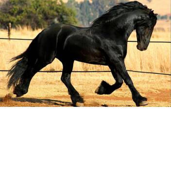 PHORDE