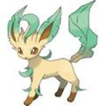 Pokemon Girls!!!!!!!!!!!!!!