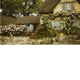 Cute Cottagecore Hangout!
