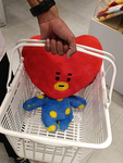 tata fanclub