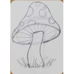 Mushrooms,group
