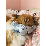 Meow mew purr <3