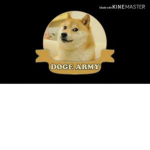Doge Milatary
