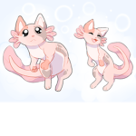 Axolotl and kittys group