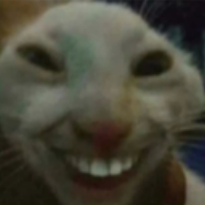 sussy jerma's face cat meme Roblox decal
