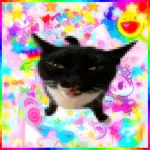 Stvpidly not Stvpid Group Thumbnail