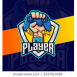 Pro Player's team