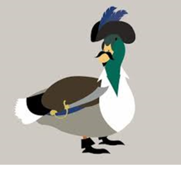 Pirate duck world: #