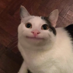 DioBrando il suino vampiro