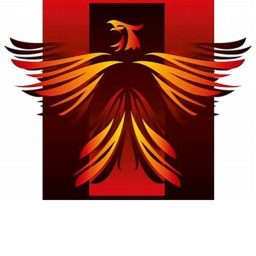 Phoenix Runner
