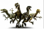 Jurassic world raptor pack!