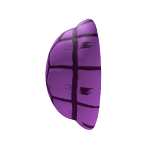 Master's Purple Shell