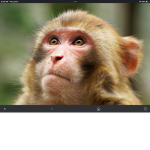 Monkelikebanan