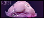 #BLOB FISH SQUAD