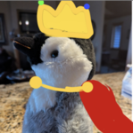Mr_Penguin Club