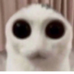X0x0<3
