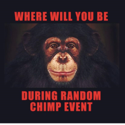 RANDOM CHIMP EVENT