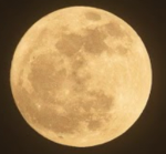 Moon Clan |M.C|