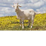 studio goat