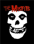 misfits skateboardin team