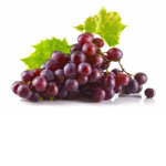 Grape Tower Devs