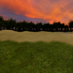 {Showcase} The Pond