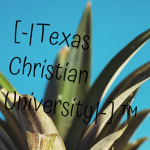 [-|Texas Christian University|-] ™