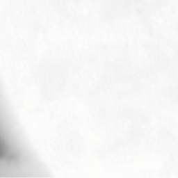 ✞