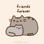 Pusheen: our story our cat