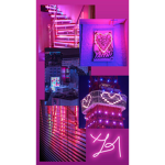 KASHDOLLZ DIOR