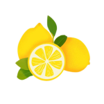 Paper Lemon Studio.