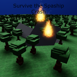 Survive the Spaship Crash