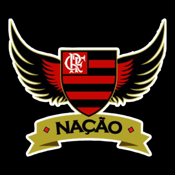 Flamengo simulator
