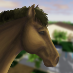 Wild Meadows Stables