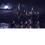 Harry Potter Fans (True Fans)