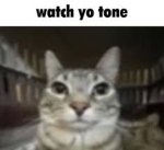 mommyslayerXD