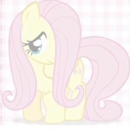 shy˚   ☆