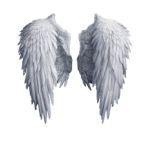Angels111
