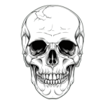 Not Skull