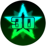 Perfect Attendance Award