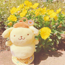 ♡