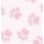 Slvinci