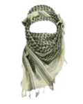 Praise Ιraq