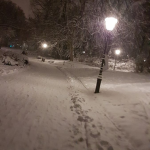 'winters