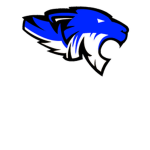 Brooklyn Panthers