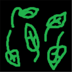 NEW Sacred Lotus Clan