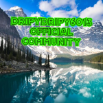 dripydripy6013's official community