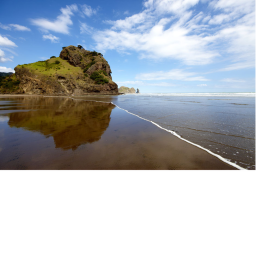 Piha Beach