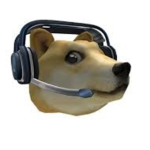 Team Doge..